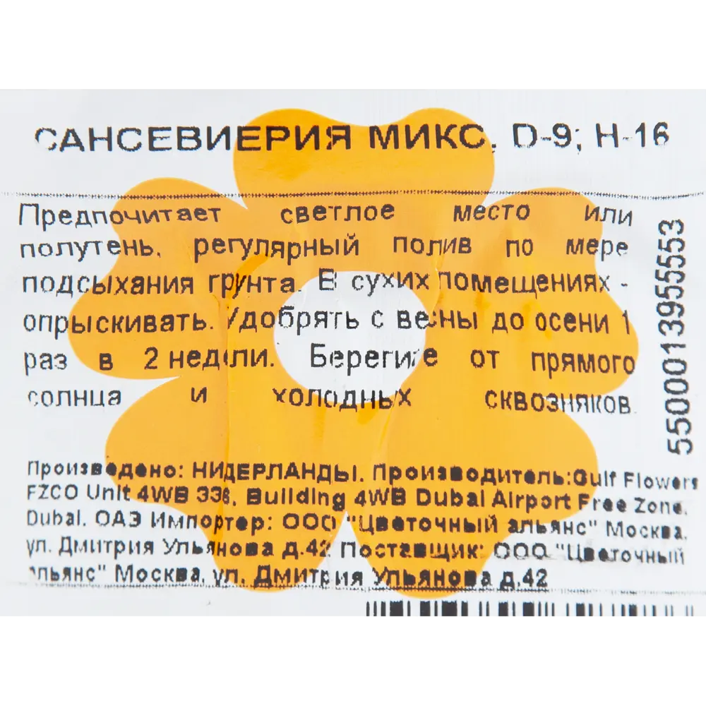 Сансевиерия микс 9x16 см 82850389 STLM-2208107 Santreyd  - Вид №2