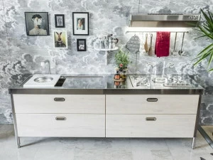 ALPES-INOX Кухонный модуль для стирки, готовки, хранения и холодильника Liberi in cucina