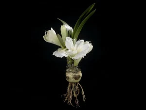 VGnewtrend Искусственное растение из полиэстера  1001439.95