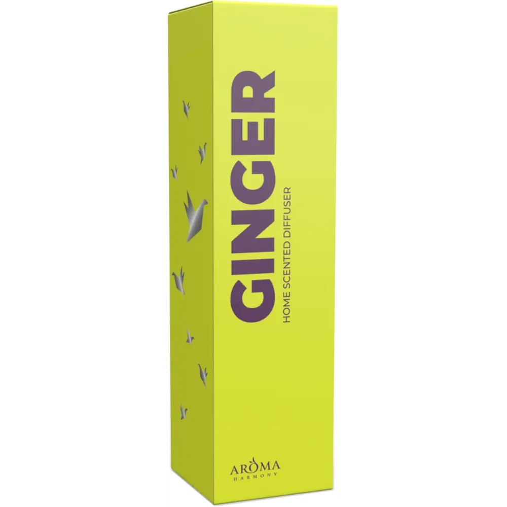Ароматический диффузор Aroma harmony Ginger 100 мл STLM-2051679 - Вид №2