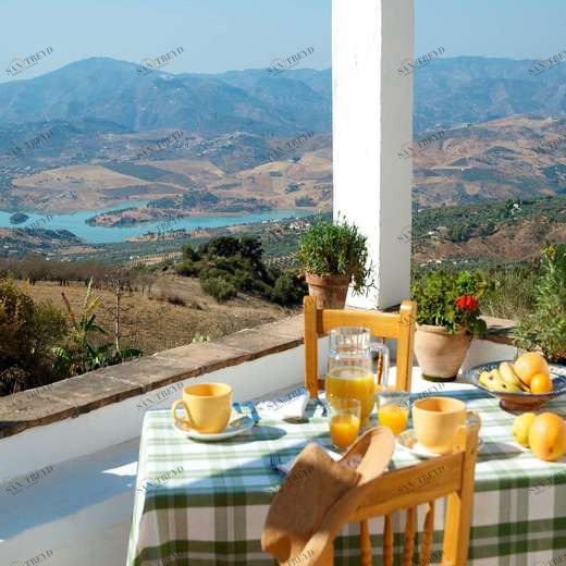 WP01004 Фотообои Verol Фотообои decoline 1х1 м