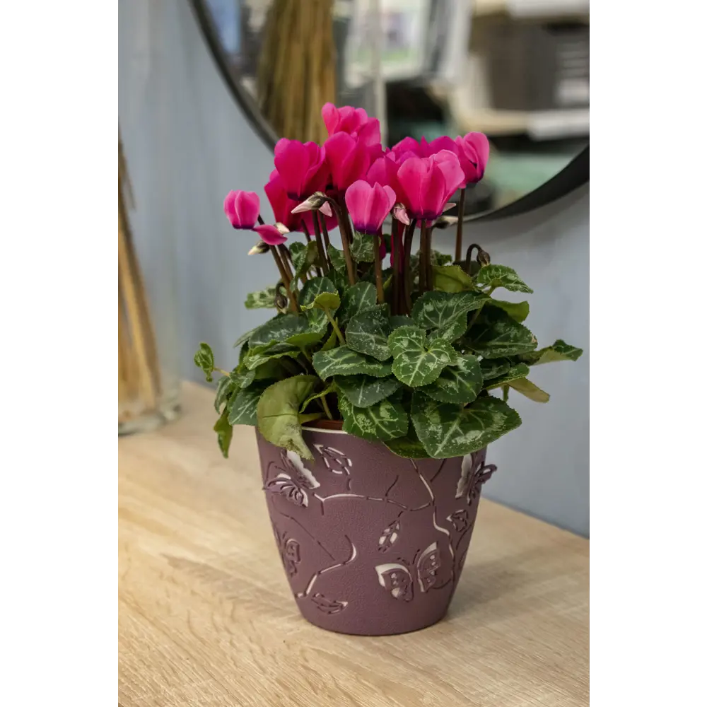 Горшок цветочный Boho ø11.5 h10.5 см v5 л пластик пепельно-розовый Santreyd STLM-2130004 - Вид №2