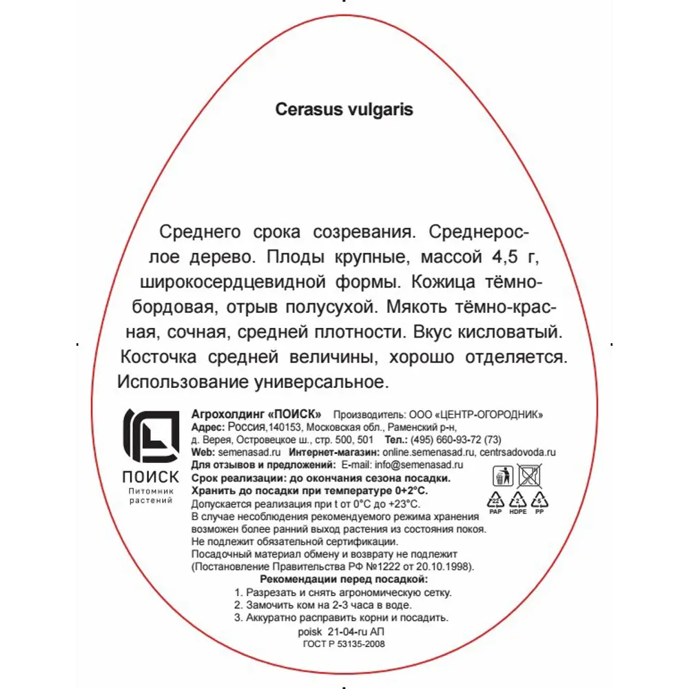 Вишня Тургеневка h220 см 83787967 STLM-2137004 Santreyd  - Вид №2