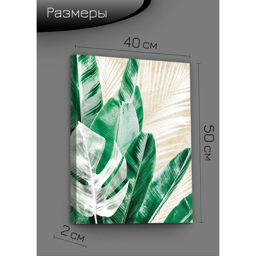 Картина на холсте Экзотические листья 1 40x50 см FBRUSH STLM-2191042 - Вид №7