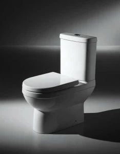 CX01019UW Компакт унитаз с бачком Белый Bravat New Moon Турция