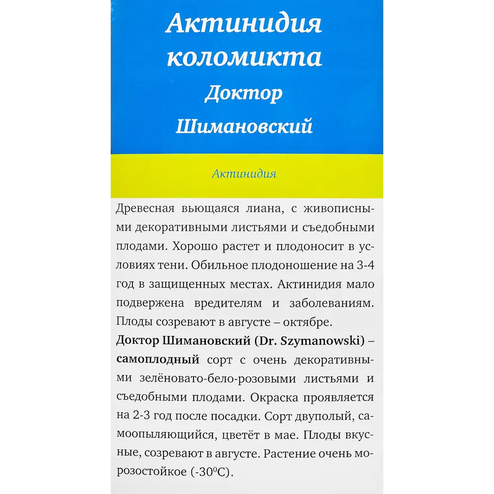 Актинидия коломик Северный Сад Доктор Шимановски 82528956 STLM-2166119 Santreyd  - Вид №2