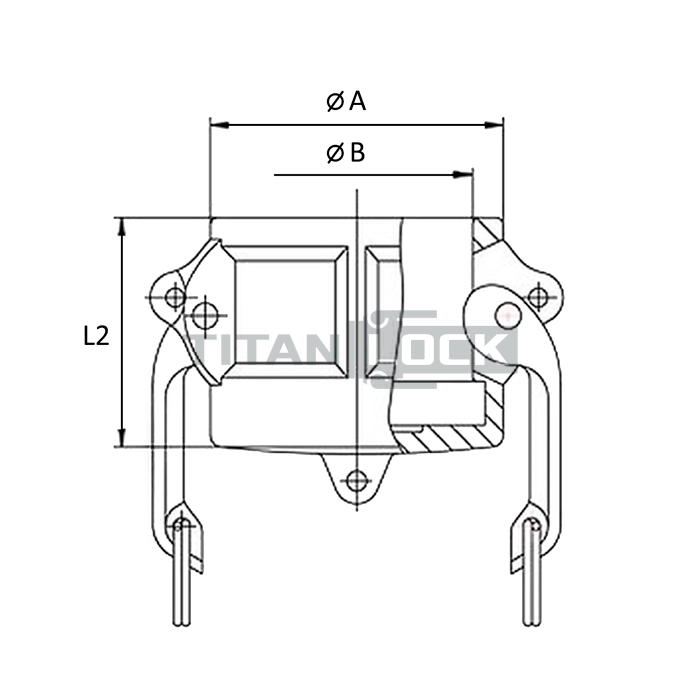 Камлок полипропиленовый тип DC, заглушка для ниппеля 1 1/2", TL150DCPP TITAN LOCK  - Вид №1