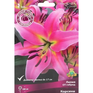 Лилия ОТ-гибрид Корсини 1 шт. 83588551 STLM-2043467