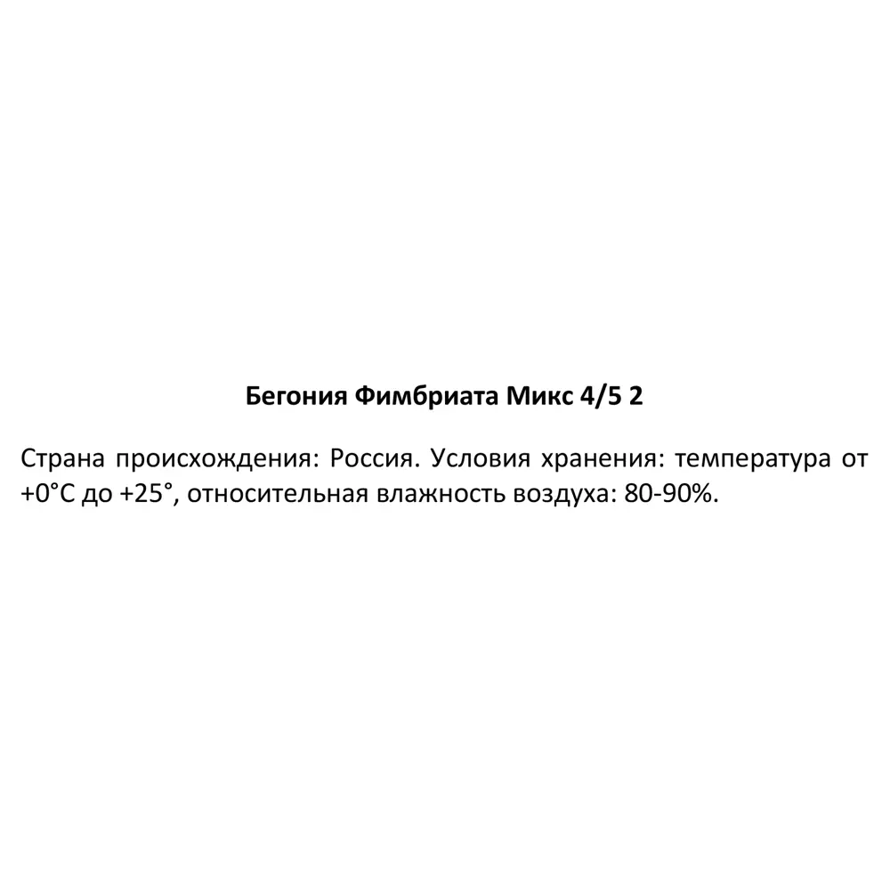 Бегония Фимбриата микс 40 мм 89353091 STLM-2211530 Santreyd  - Вид №2