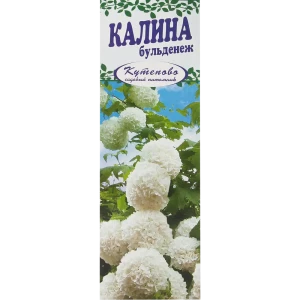 Калина Буль Де Неж в коробке 17496903 STLM-2060956