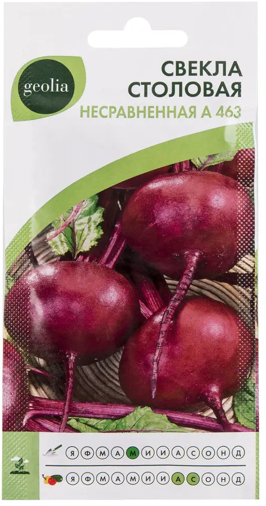 Семена свеклы GEOLIA «Несравненная» — холодостойкий сорт с идеальной лежкостью 17584997