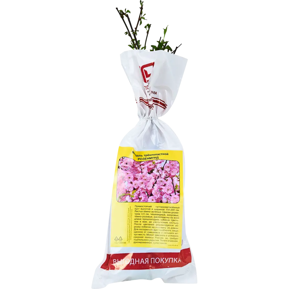 Миндаль трехлопастной Розенмунд h35 см 89353402 STLM-2195416 Santreyd 