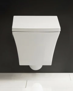 Унитаз подвесной безободковый BelBagno REGINA Подвесной унитаз настенный Белый BELBAGNO REGINA Китай