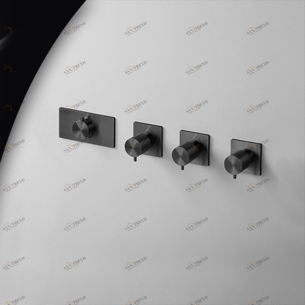 Термостат для душа AICO TER56С карбон Radomonte TER56C