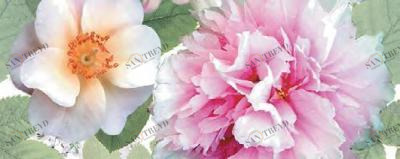 Dec Passion Panno B 20х50 Ceradim sun-id-311875