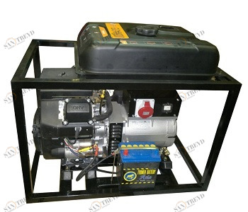 Бензиновый генератор REG SG10-230 с АВР sun-id-1035603