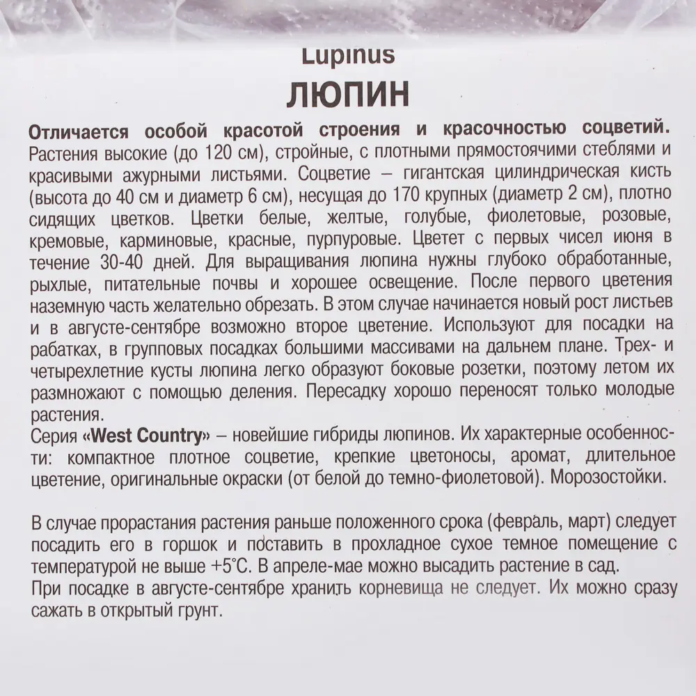 Люпин «Зе Пейджиз» многолетний Santreyd STLM-2011831 - Вид №2