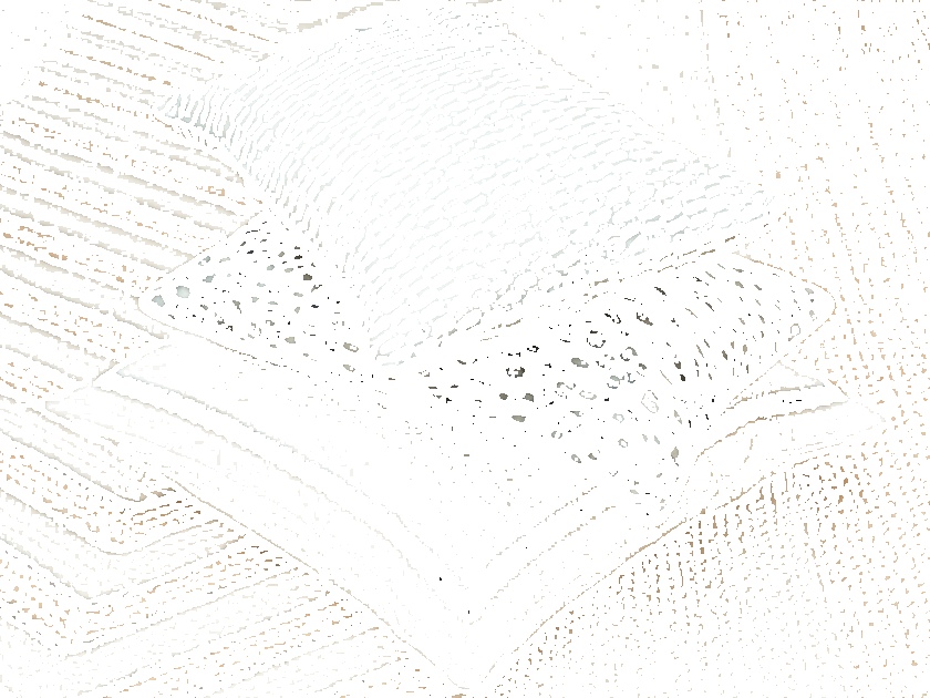 Élitis Квадратная вышитая льняная подушка  Co 140  - Вид №2