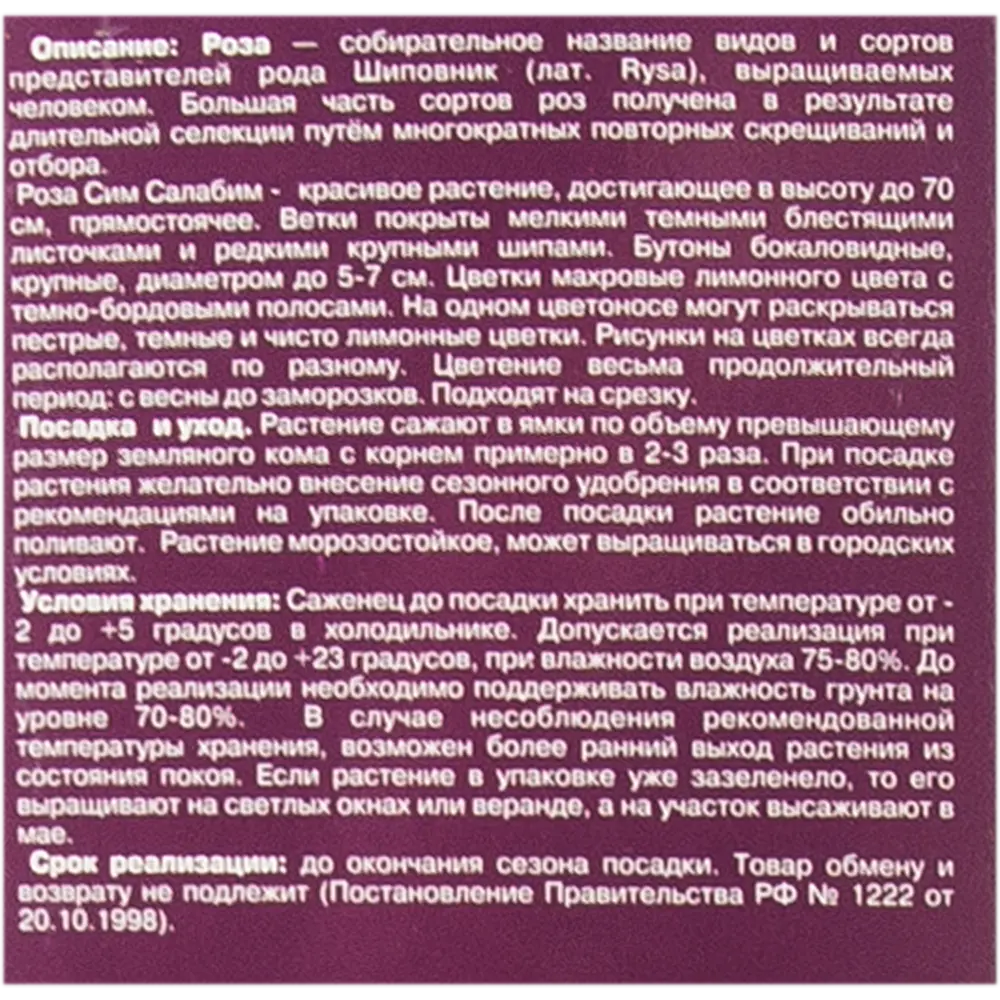 Роза Флорибунда «Сим Салабим» в коробке 82155320 STLM-2133724 Santreyd  - Вид №2