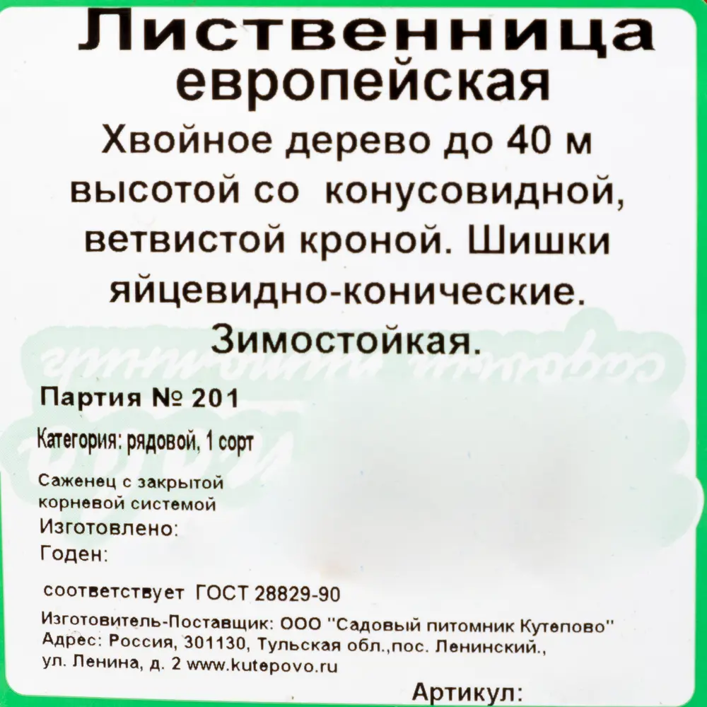 Лиственница Европейская С2.4 h40 81954892 STLM-2211475 Santreyd  - Вид №1
