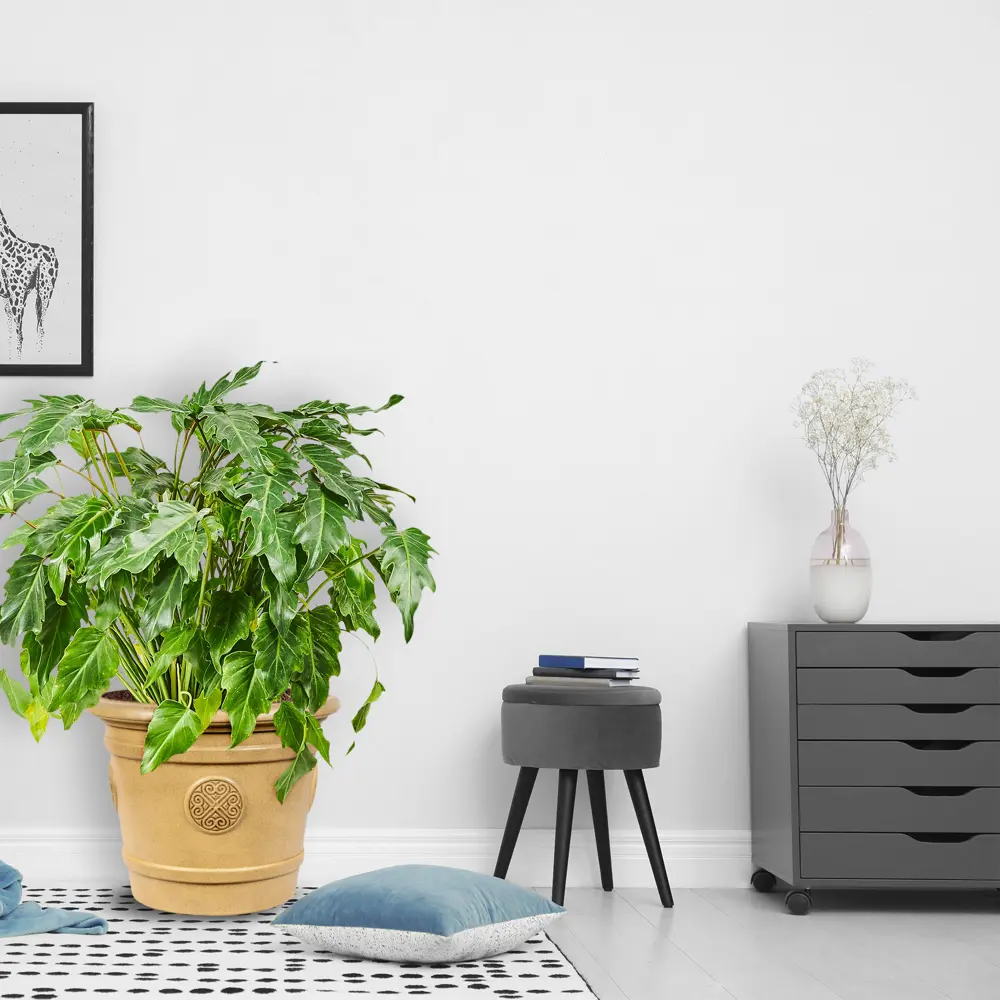 Кашпо MeDallion ТЕК.А.ТЕК для сада и террасы 40 л 82011720 STLM-0017586 - Вид №3