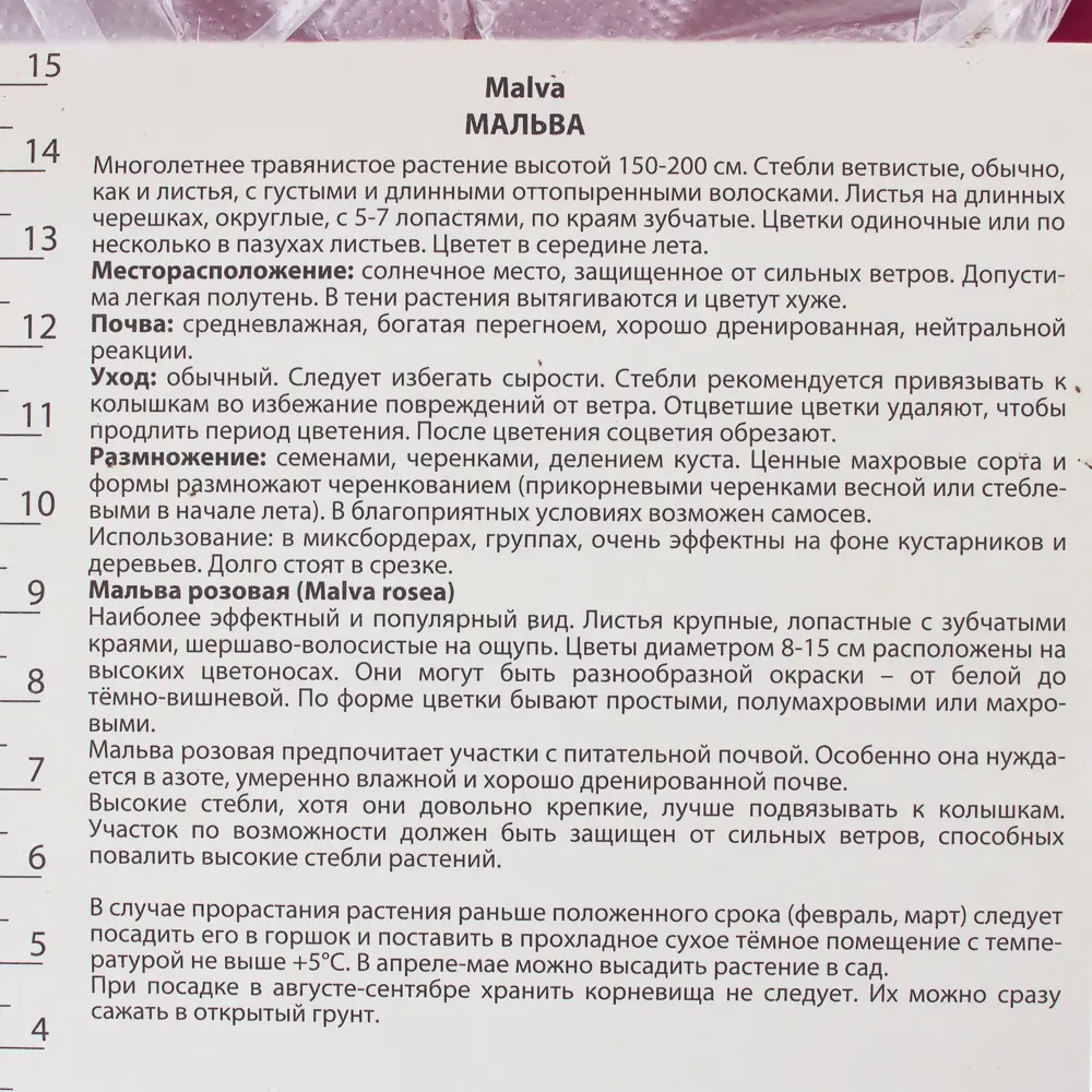 Мальва «Нигра» с капером цвет розовый Santreyd STLM-2142658 - Вид №2