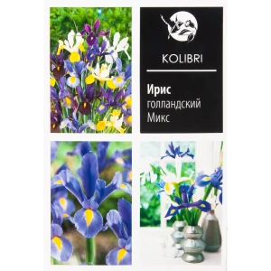 Ирис голландский смесь окрасок 82539350 STLM-2179012