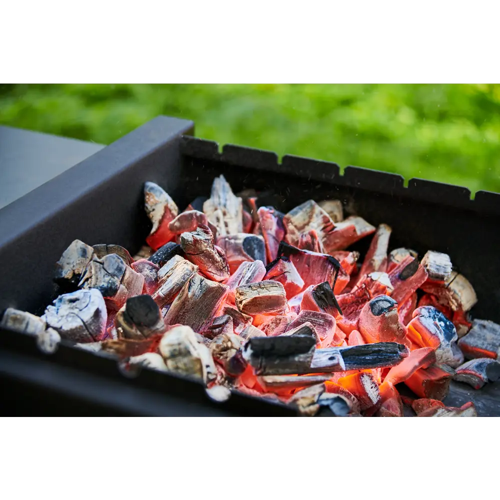 Уголь древесный Севзапуголь Экспресс 10 л Santreyd STLM-2092628 - Вид №3