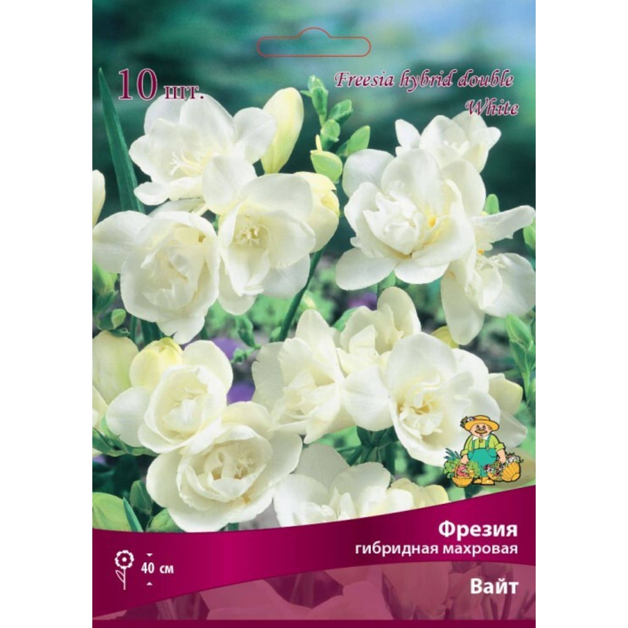 83597221 Фрезия гибридная махровая Вайт луковица 5/6 Santreyd 