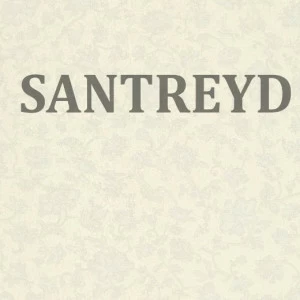 962314 Обои Rasch Trianon XL