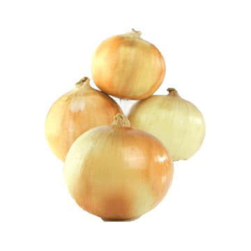 Лук репчатый Santreyd 2116