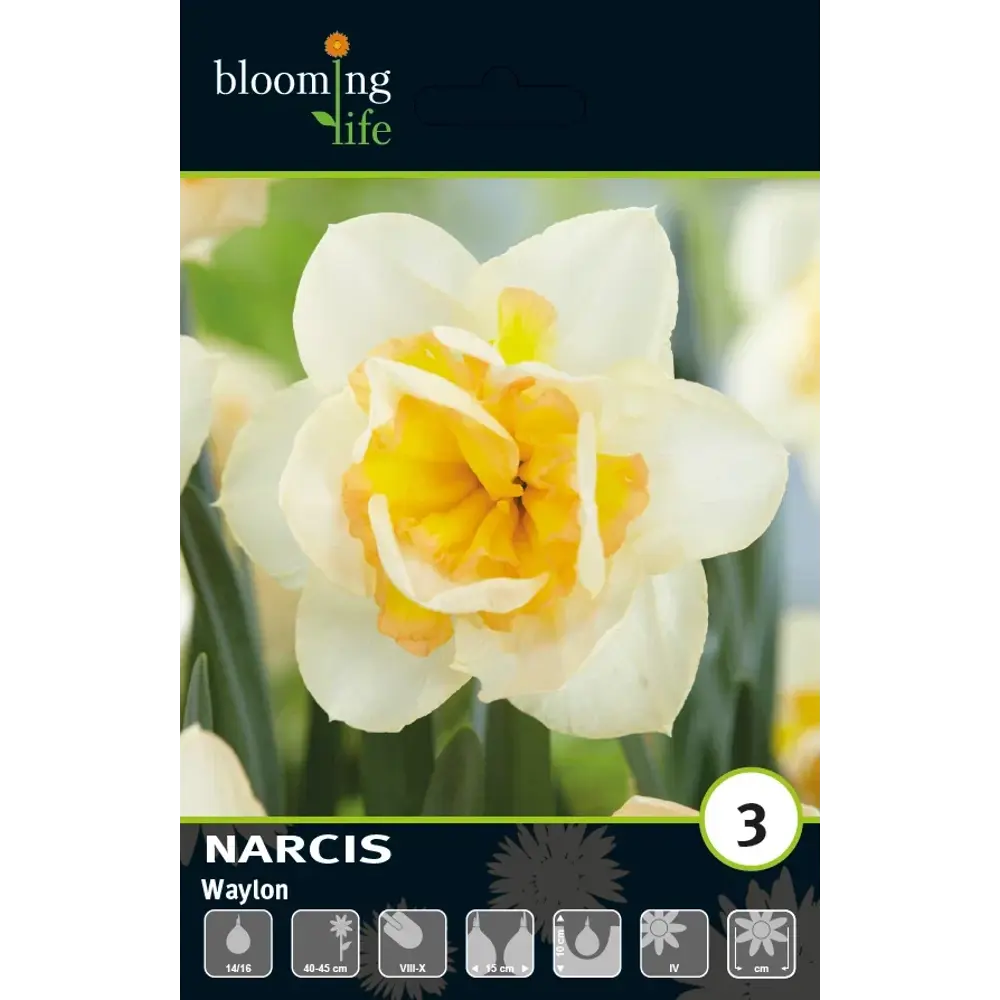 Луковицы нарцисса махрового Вайлон 12/14 - многолетние цветущие растения 89432965 Santreyd STLM-1584951