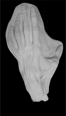 20-207 Кисть гипс 26.5х16.5х7 см анатомическая Santreyd 