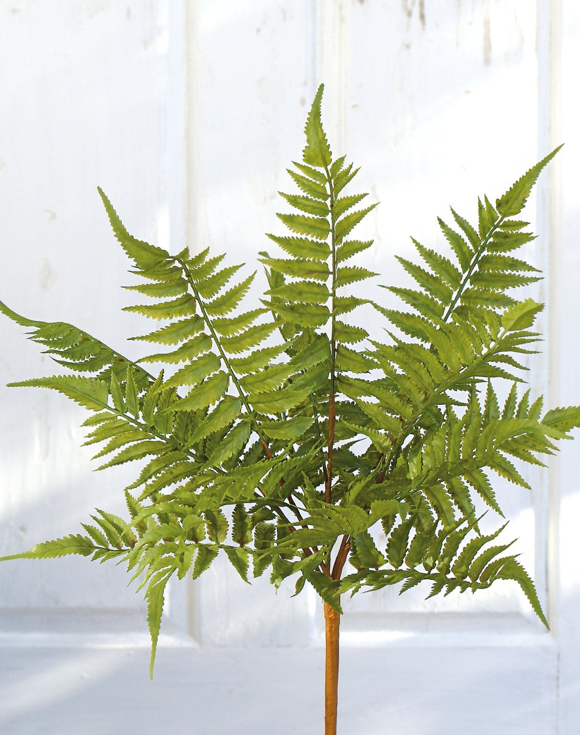 4917 883 a3 Имитация куста папоротника, 44 см, зеленая H-andreas  - Вид №1