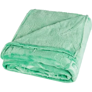 Плед Lapa 150x200 см фланель цвет мятный 87289044 STLM-2107035