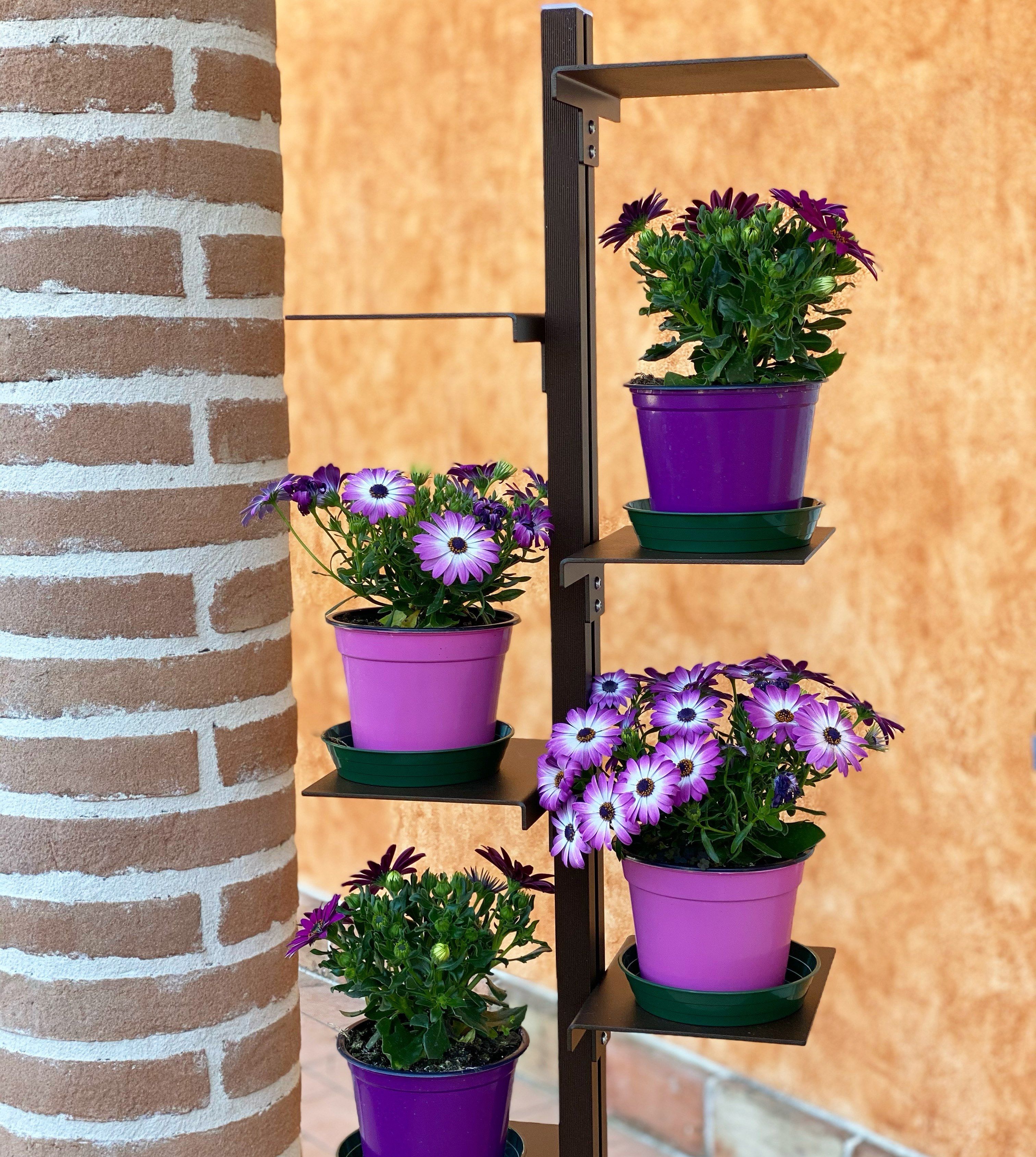 Книжный шкаф / держатель для банок из листового металла STUDIO T InUno ARCH-00132535 - Вид №7