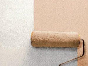 Отделка фасада от плесени