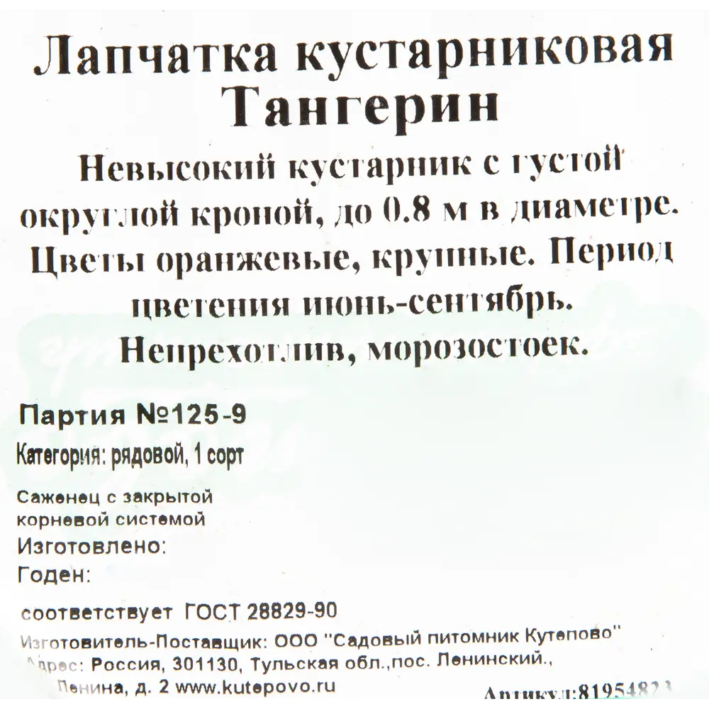 Лапчатка кустарниковая С2 «Танжерин» h30 81954823 STLM-2090289 Santreyd  - Вид №1