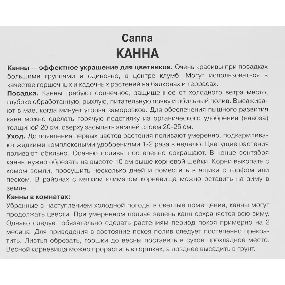 Канна карликовая Клеопатра ПОИСК STLM-2127107 - Вид №2