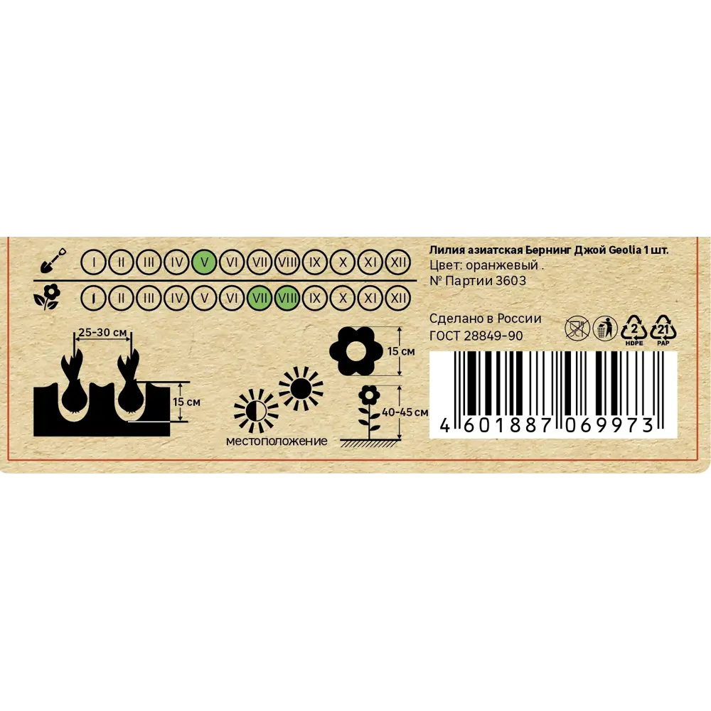 Лилия Geolia азиатская Бернинг Джой 86408616 STLM-2059439  - Вид №4