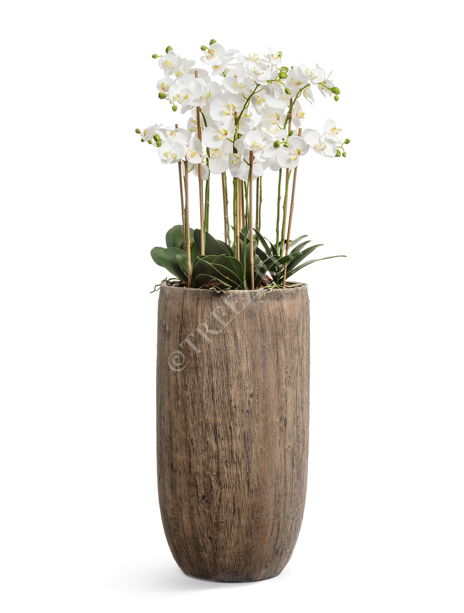 41.3317-03-011-WB-80 Кашпо  Effectory - серия Wood - Высокий округлый конус - Светлый дуб Цветочная коллекция  - Вид №5