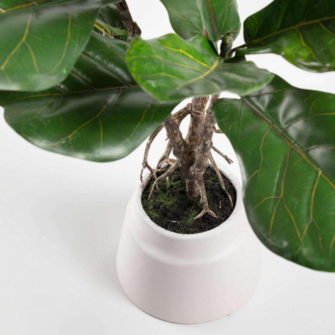 081744 Flower Искусственное растение лирата 60см La Forma Lyrata  - Вид №1