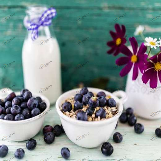 WP01263 Фотообои Verol Фотообои decoline 1х1 м