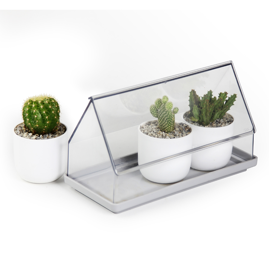 Лоток для выращивания растений Micro Green House прозрачный Qualy QL10310CLGN - Вид №8