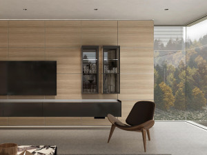 Оборудованная стена с подставкой для телевизора