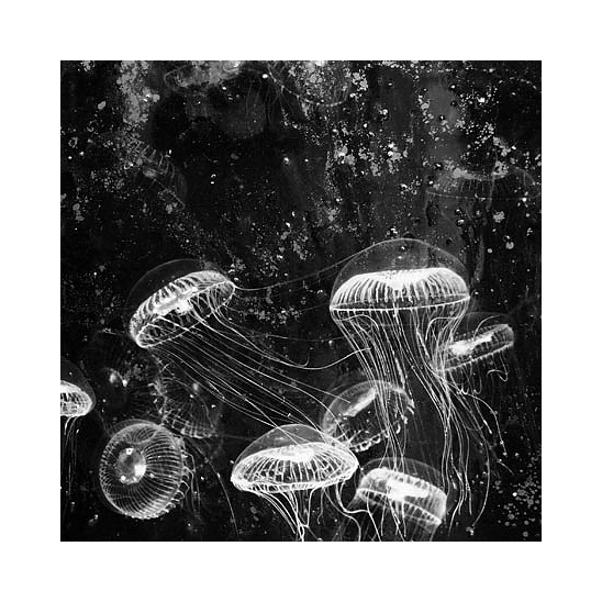 Панель / Entrance Alex Turco sun-id-376484 - Вид №1