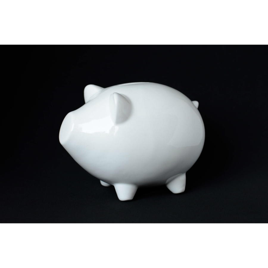 Сувенир «Свинка-копилка» ЭКОЧЕЛОВЕКИ PIG101 - Вид №4