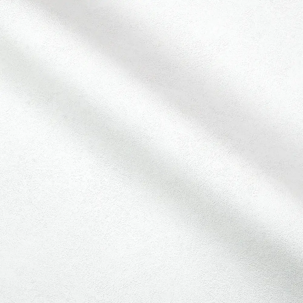 Флизелиновые обои Ateliero Rinaldi белые с виниловым покрытием 87904520 STLM-0076116 - Вид №2