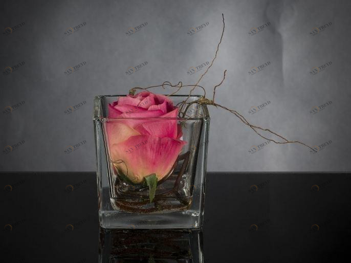 VGnewtrend Искусственное растение  1141708.47 