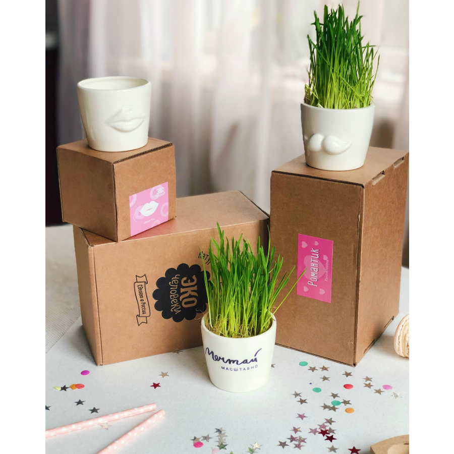 MIN-1-02 Набор для выращивания eco мини-кашпо «усы» Экочеловеки  - Вид №6